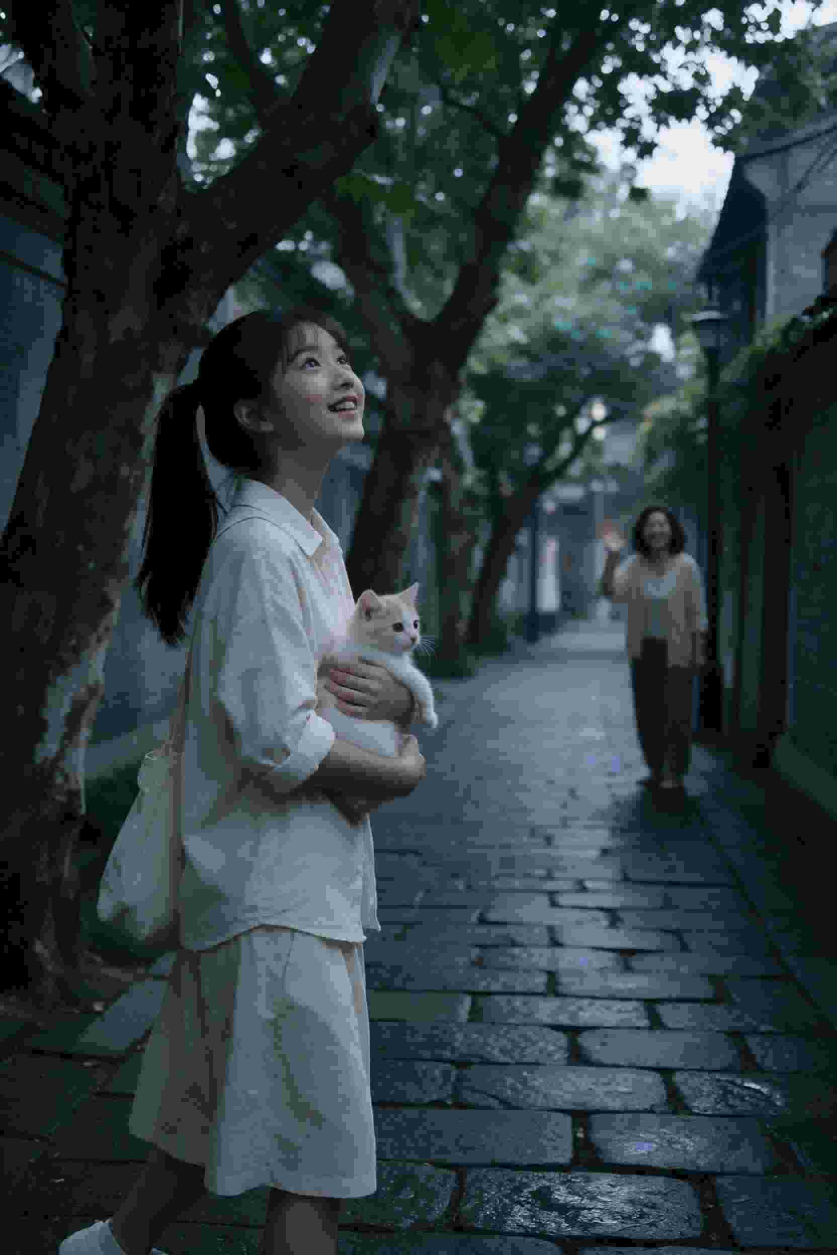 等你归来